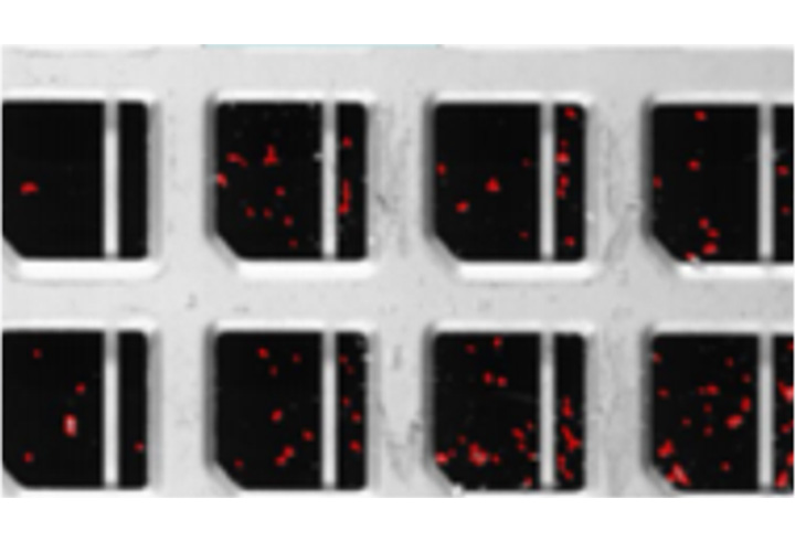 框架/基板AOI自动检测设备