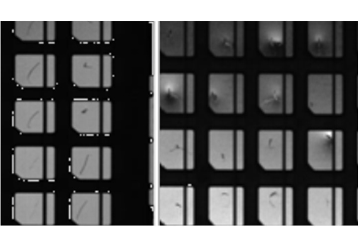 框架/基板AOI自动检测设备