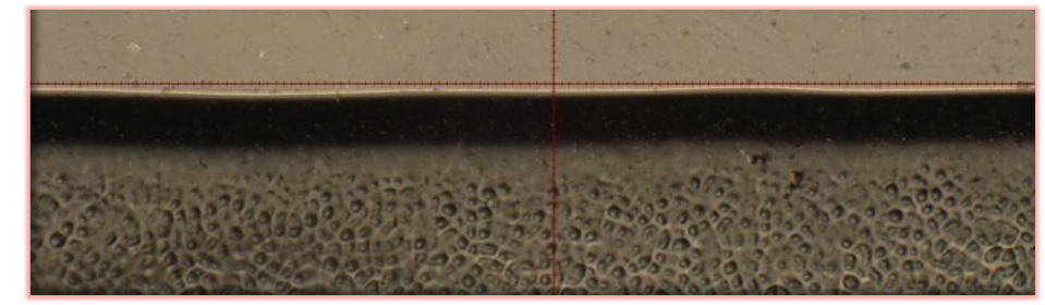 1775715793304253.png 1775715793304253.png